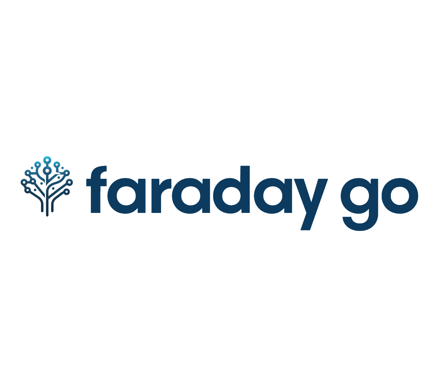 Faraday Go